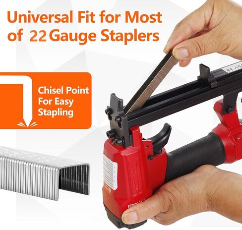SITLDY 3/8 Inch Crown 22 Gauge Stainless Steel Staples 2240-Count 3 Sizes for 71 Series Staple Gun, Includes: 5/16", 3/8", 1/2" Assortment, Combo kit in Saudi Arabia