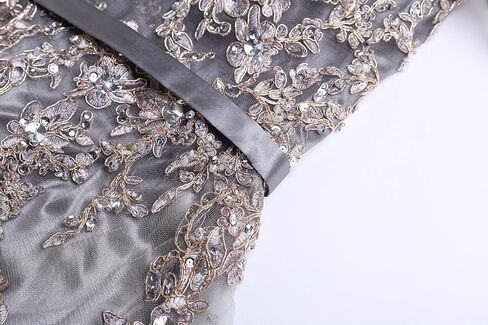 Meier Women's Illusion Long Sleeve Embroidery Prom Formal Dress in Kuwait