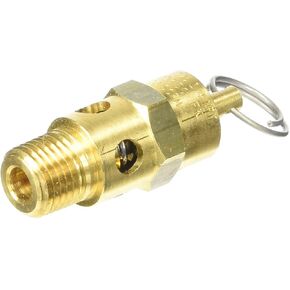 Milton 1090-200 1/4" MNPT ASME Safety Valve - 200 PSI Pop off Pressure in Kuwait