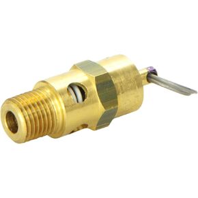 Milton 1090-200 1/4" MNPT ASME Safety Valve - 200 PSI Pop off Pressure in Kuwait