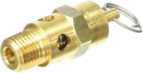 Milton 1090-200 1/4" MNPT ASME Safety Valve - 200 PSI Pop off Pressure in Kuwait