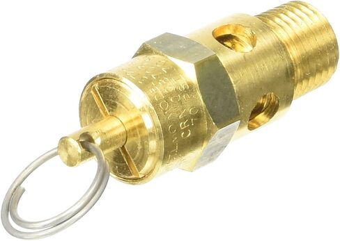 Milton 1090-200 1/4" MNPT ASME Safety Valve - 200 PSI Pop off Pressure in Kuwait