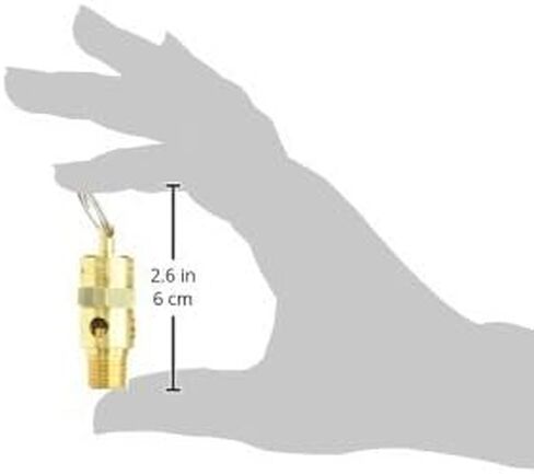 Milton 1090-200 1/4" MNPT ASME Safety Valve - 200 PSI Pop off Pressure in Kuwait