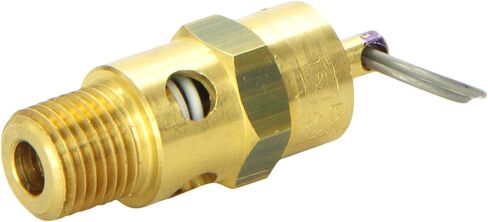 Milton 1090-200 1/4" MNPT ASME Safety Valve - 200 PSI Pop off Pressure in Kuwait