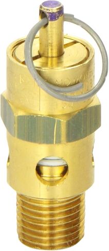 Milton 1090-200 1/4" MNPT ASME Safety Valve - 200 PSI Pop off Pressure in Kuwait