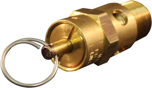 Milton 1090-200 1/4" MNPT ASME Safety Valve - 200 PSI Pop off Pressure in Kuwait