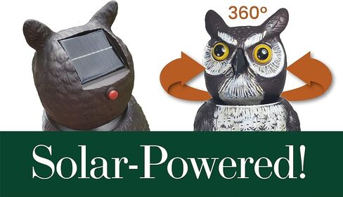 Radar Action Tiger OWL™ - Motion Sensing Natural Predator Scarecrow in Saudi Arabia
