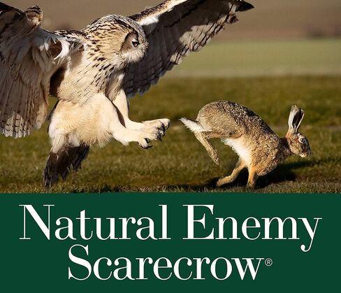 Radar Action Tiger OWL™ - Motion Sensing Natural Predator Scarecrow in Saudi Arabia