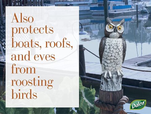 Radar Action Tiger OWL™ - Motion Sensing Natural Predator Scarecrow in Saudi Arabia