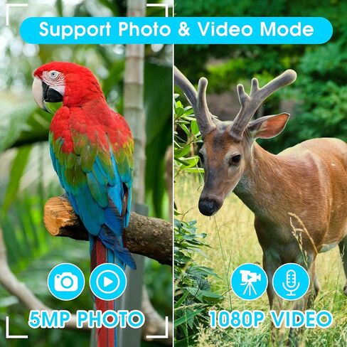 مناظير 12×32 للبالغين من زد زد ستار، مناظير مع كاميرا، شاشة ال تي بي اس 2 انش ومسجل صور فيديو 5MP 1080P مع بطاقة مايكرو SD 32GB، مناظير عالية الطاقة لمشاهدة الطيور والسفر والصيد، اسود in Kuwait