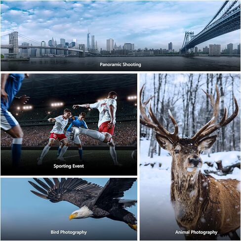 نيوير راس ثلاثي القوائم احترافي شديد التحمل من الياف الكربون GM100 مع لوحة سريعة الفك 1/4 انش، هيكل محمل يدعم تصوير بانورامي اكثر سلاسة 360 درجة لكاميرا دي اس ال ار حتى 30 باوند/13.6 كغم in Kuwait