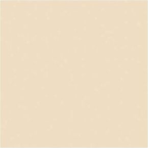 Rosco un 1/4 CTO 20X24 Amber - Rosco RS340911 in Kuwait