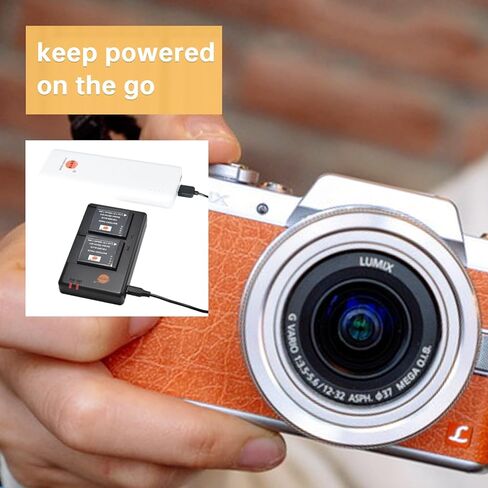 حزمة بطارية ليثيوم DSTE 7.2 فولت 1000 مللي أمبير DMW-BLH7E (عبوتين) وشاحن مزدوج متوافق مع الكاميرا الرقمية باناسونيك DMW-BLH7 DMW-BLH7PP DMW-BLH7GK وLumix DMC-GM1KD DMC-GM1KEB DMC-GM1KK in Kuwait