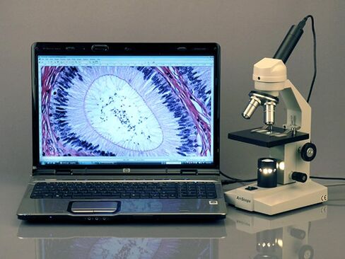 AmScope M200C-LED Cordless Monocular Compound Microscope, WF10x and WF25x Eyepieces, 40x-1000x Magnification, LED Illumination, Brightfield, Single-Lens Condenser, Coarse and Fine Focus, Plain Stage, 110V or Cordless Operation in Saudi Arabia