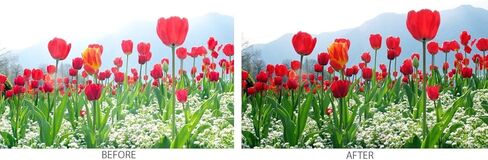 فلتر ألترا فيوليت الرقمي عالي الدقة من سلسلة برو 82ملم لعدسة Canon EF 24-70mm f/2.8L II USM، عدسات Canon EF 16-35mm f/2.8L II USM in Kuwait