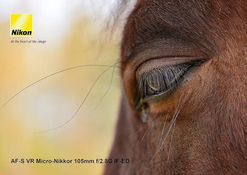 Nikon AF-S VR Micro-NIKKOR 105mm f/2.8G IF-ED Lens (Renewed) in Saudi Arabia