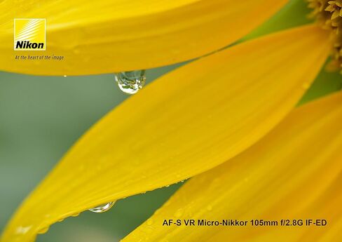 Nikon AF-S VR Micro-NIKKOR 105mm f/2.8G IF-ED Lens (Renewed) in Saudi Arabia