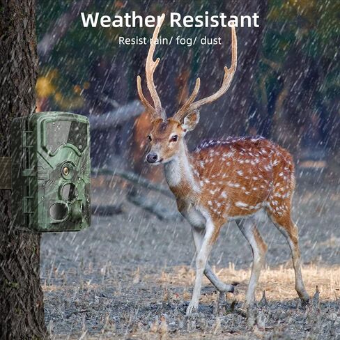 كاميرا QUNVAL 4K بفاصل زمني خارجي، شاشة LCD 2.4 بوصة بدقة 48 ميجابكسل ورؤية ليلية مقاومة للطقس لأمن البناء ونمو النباتات ومراقبة الطبيعة (بطاقة SD سعة 32 جيجابايت) in Kuwait