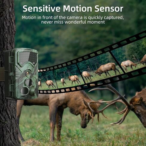 كاميرا QUNVAL 4K بفاصل زمني خارجي، شاشة LCD 2.4 بوصة بدقة 48 ميجابكسل ورؤية ليلية مقاومة للطقس لأمن البناء ونمو النباتات ومراقبة الطبيعة (بطاقة SD سعة 32 جيجابايت) in Kuwait