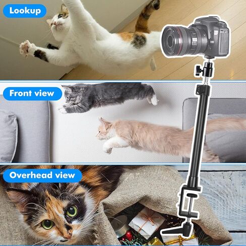 حامل مكتب SLOW DOLPHIN مع مشبك C للطاولة، حامل إضاءة 1/4 بوصة، رأس كروي قابل للدوران 360 درجة، حامل هاتف لكاميرا DSLR، ضوء حلقي، ضوء لوحة، Gopro، هاتف، كاميرا ويب، استوديوهات الفيديو in Kuwait