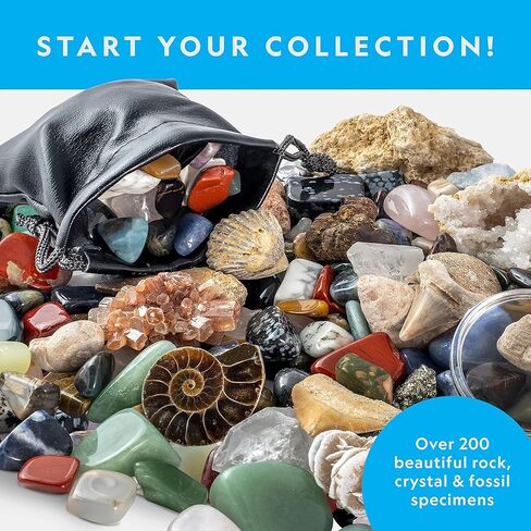 NATIONAL GEOGRAPHIC Rock Painting Kit - Arts and Crafts Kit for Kids, Paint & Decorate 15 River Rocks with 10 Paint Colors & More Art Supplies, Outdoor Toys for Girls and Boys (Amazon Exclusive) in Saudi Arabia
