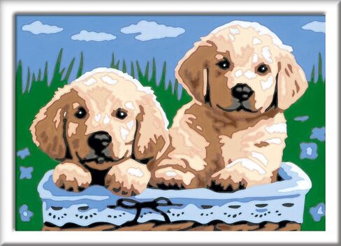 مجموعة الطلاء بالأرقام من Ravensburger CreArt Sleeping Cat & Dog للأطفال - فنون الرسم والحرف اليدوية للأعمار من 7 سنوات فما فوق، 8.70 × 6.22 × 1.77 بوصة in Saudi Arabia