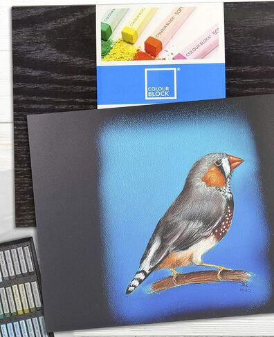 وسادة ورقية كولور بلوك جلو باوند ناعمة بلون الباستيل مضغوطة على البارد من ورق الباستيل الأسود، 30.48 سم × 40.64 سم، 230 جرام لكل متر مربع، 24 ورقة، 2 عبوة in Kuwait