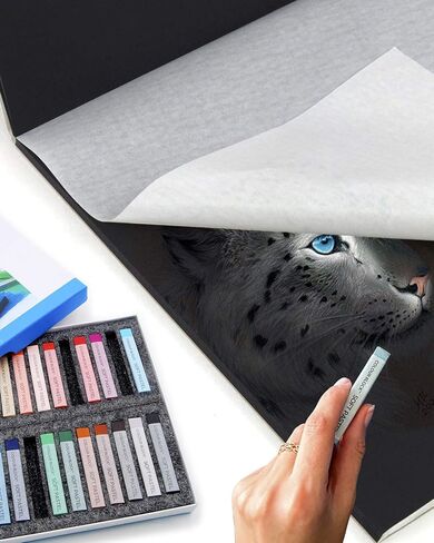 وسادة ورقية كولور بلوك جلو باوند ناعمة بلون الباستيل مضغوطة على البارد من ورق الباستيل الأسود، 30.48 سم × 40.64 سم، 230 جرام لكل متر مربع، 24 ورقة، 2 عبوة in Kuwait