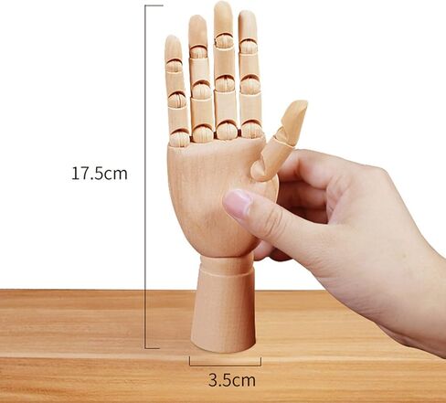 مانيكان فني خشبي بطول 17.78 سم من بليو، طراز مقطع للرسم والرسم والطلاء in Kuwait