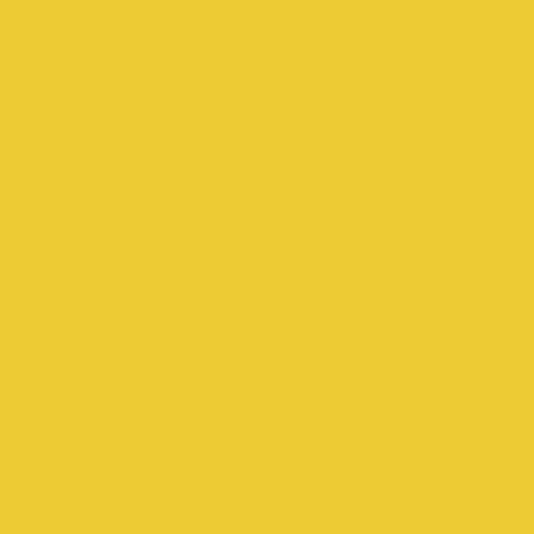 Jacquard Products Jacquard Dye-Na-Flow Liquid Color 8oz-Golden Yellow in Saudi Arabia