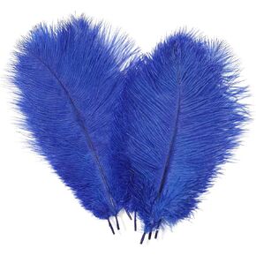 AWAYTR 10-12 inch (25-30cm) Natural Ostrich Feathers for Wedding Centerpieces Home Decoration,Flower Arrangement,DIY Christmas Decorations (10pcs,White)