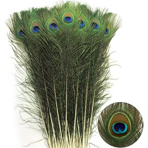 THARAHT 12pcs Peacock Feather Natural in Bulk 10-12 inch 25-30cm for Craft Vase Wedding Home Party Christmas Day Decoration Peacock Feathers
