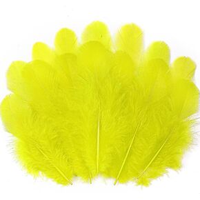 Soarer Colorful Craft Supplies Feathers Bulk for Crafting,300Pcs,3-5inch in Saudi Arabia