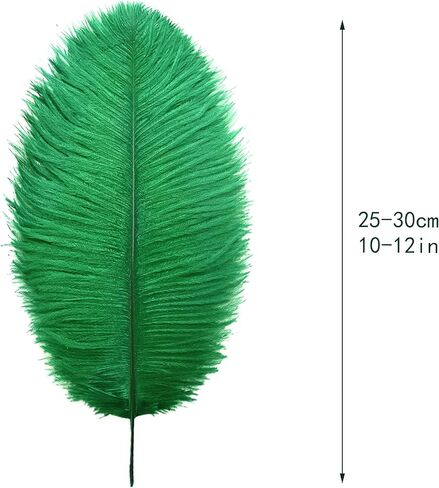 Ballinger Large White Ostrich Feathers Bulk for Crafts,24Pcs,8-10inch in Kuwait