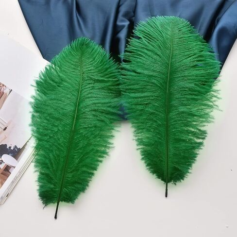 Ballinger Large White Ostrich Feathers Bulk for Crafts,24Pcs,8-10inch in Kuwait