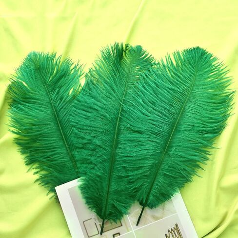 Ballinger Large White Ostrich Feathers Bulk for Crafts,24Pcs,8-10inch in Kuwait