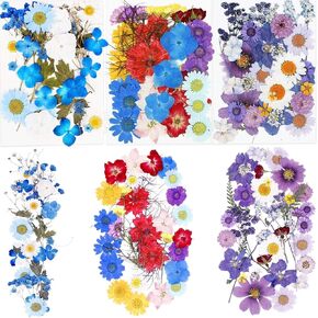 BIHRTC 100PCS Died Pressed Flowers Natural Colorful Pressed Flowers Real Dry Flowers Leaves Set Died Flowers for Resin Jewelry Making DIY Craft Candle Nail Art
