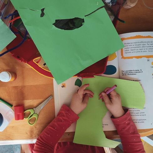 Wpxmer 60 Pack Green Cardstock 8.5 x 11 inches Green Construction Paper, Thick Paper Cover Card Stock for DIY Crafts Supplies in Kuwait