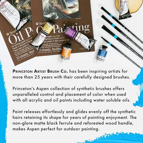 Princeton Aspen, Glare-Free Indoor/Outdoor Brush for Acrylic & Oil, Series 6500 Synthetic, Angular Mottler, 2 Inch in Saudi Arabia