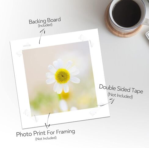Golden State Art 9x12 White Backing Board, 10 Pack Backer Boards for Print | 4-Ply Thickness Uncut Matte Cardboard, Ideal for Art Prints, Carfts, Photos, Framing Back support in Saudi Arabia