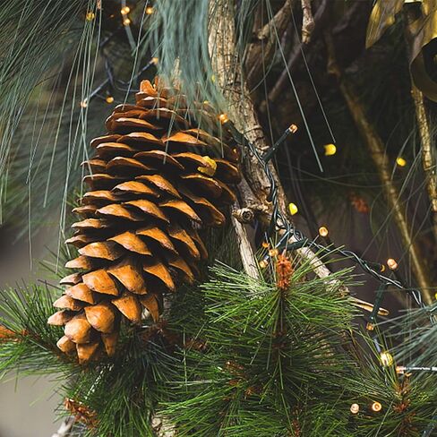 بيربل ستار 80 قطعة من إبر الصنوبر الخضراء الاصطناعية - 4.0 بوصة × 2.0 بوصة أغصان الصنوبر سيقان اللقطات - أعواد الصنوبر الخضراء المزيفة لإكليل عيد الميلاد وديكور حديقة العطلات المنزلية (80 قطعة) in Kuwait