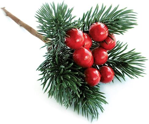 Red Berry Picks Evergreen Wreath Picks & Pine Branches Artificial for Christmas Crafts & Winter Berries Spray Holly Wire Stem Pick Holiday Decorations DIY Ornaments, Xmas Decor Floral Arrangement in Saudi Arabia