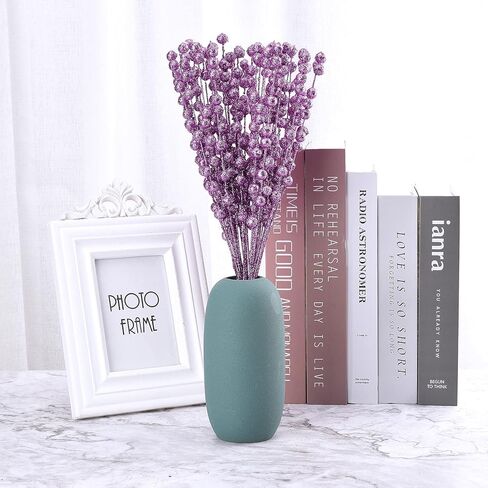 ASSR 100 حزمة من سيقان التوت اللامعة لعيد الميلاد، 15.7 بوصة أعواد عيد الميلاد المزيفة، أعواد لامعة من الفاكهة الاصطناعية لتزيين شجرة عيد الميلاد - أخضر، 210712XU03-7-2#HSM13 in Kuwait