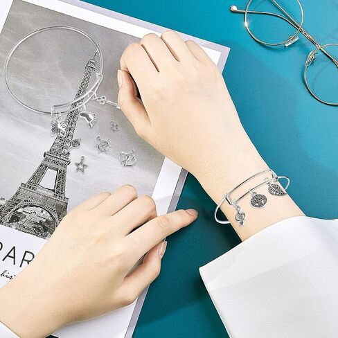 UPINS 30Pcs Silver Expandable Blank Bracelets Adjustable Wire Bangles with 100Pcs Tibetan Silver Charms, 200Pcs Open Jump Rings for Jewelry Making (Multicolor) in Kuwait