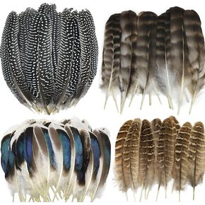 40 قطعة من ريش الديك الرومي الطبيعي، ريش الدراج، الريش المرقط وريش البط، 4 أنماط من الريش للحرف اليدوية، قبعة رعاة البقر DIY، ترتيبات الأزهار، ديكورات حفلات الهالوين والزفاف in Kuwait