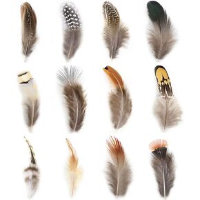 Ballinger Assorted Natural Craft Feather Bulk for Crafting,180Pcs,9 Styles in Saudi Arabia