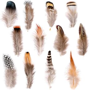 Ballinger Assorted Natural Craft Feather Bulk for Crafting,180Pcs,9 Styles in Kuwait