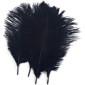 Shekyeon Black 10-12inch 25-30cm Ostrich Feather Home Decoration DIY Craft Pack of 10
