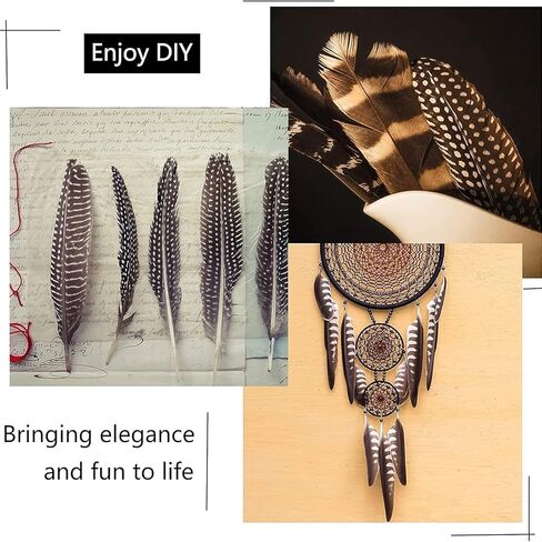 40 قطعة من ريش الديك الرومي الطبيعي، ريش الدراج، الريش المرقط وريش البط، 4 أنماط من الريش للحرف اليدوية، قبعة رعاة البقر DIY، ترتيبات الأزهار، ديكورات حفلات الهالوين والزفاف in Kuwait