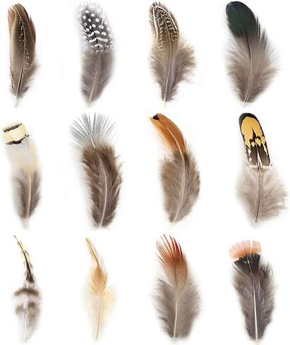 Ballinger Assorted Natural Craft Feather Bulk for Crafting,180Pcs,9 Styles in Saudi Arabia